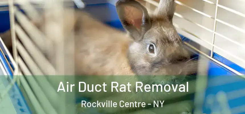  Air Duct Rat Removal Rockville Centre - NY