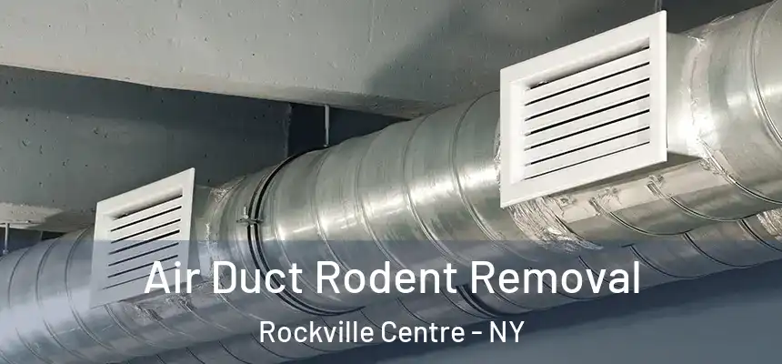  Air Duct Rodent Removal Rockville Centre - NY