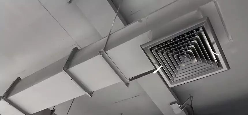 Our Rodent Droppings In Vents Services in Rockville Centre, NY