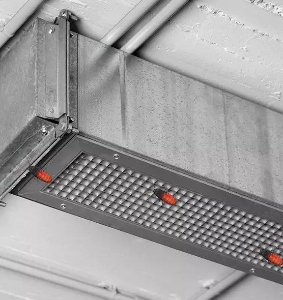 About Air Duct Cockroach Removal in Rockville Centre, NY