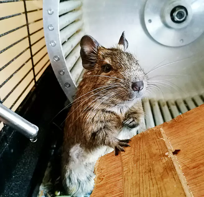 Why Homeowners & Businesses Trust Us Rockville Centre, NY